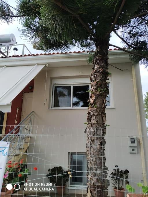 Grecos Apartment Preveza Bagian luar foto